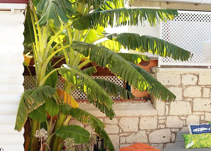 The Six Отель 5*